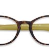 Eyewear Have a Look | Circle Readers-Tortoise/Lime