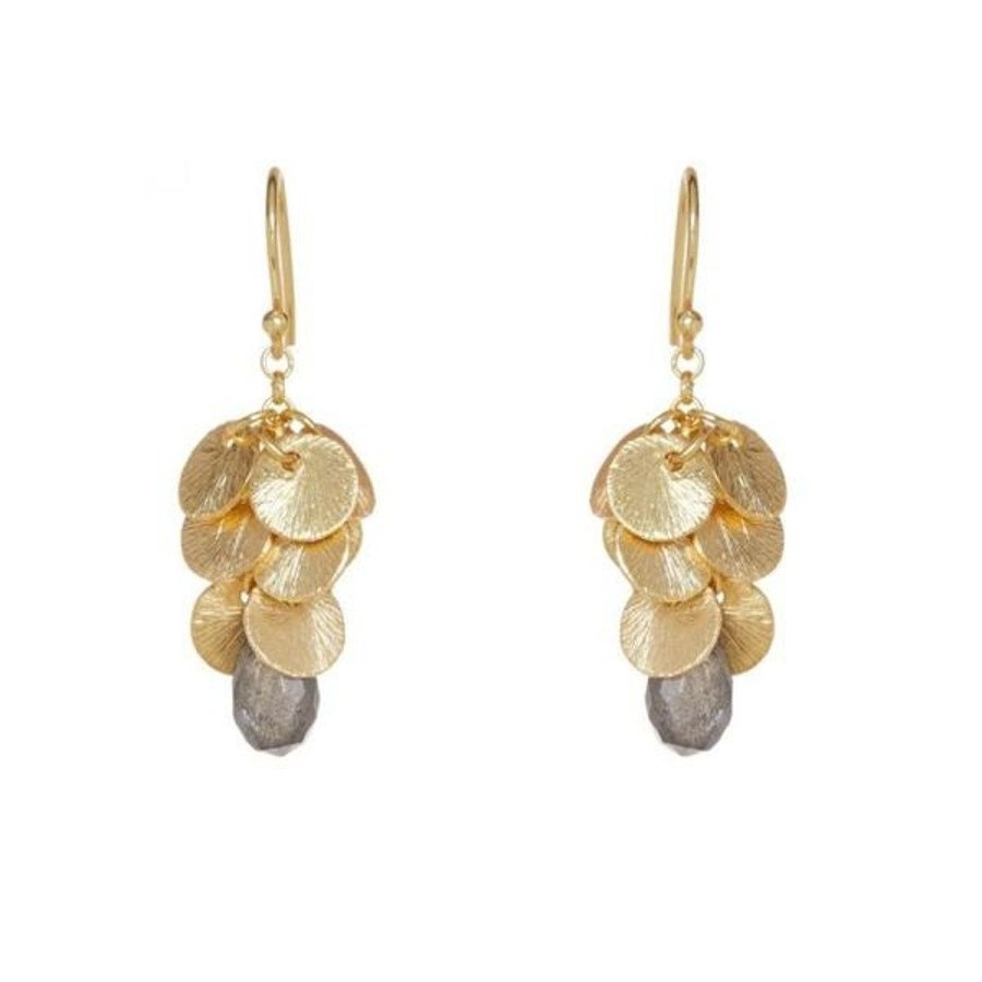 Women Ashiana Earrings | Winona Earrings-Labradorite